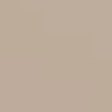 Artist's Impression - NP N 1864 T