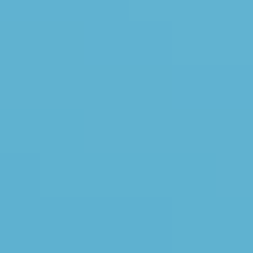 Blue Star - NP PB 2819 T