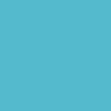 Blue Tassle - NP BGG 2785 T