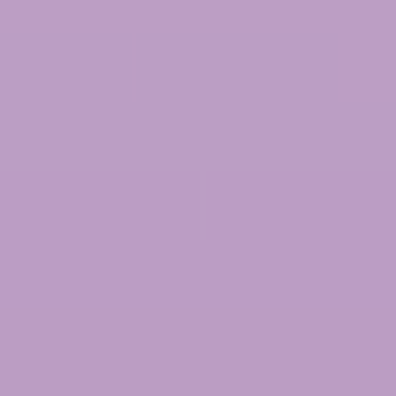 Bouquet Violet - NP PB 1406 T
