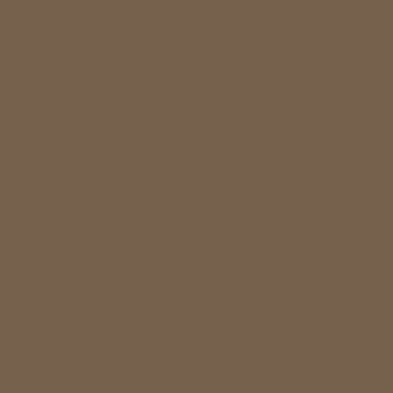 Brown Eyes - NP N 3197 A