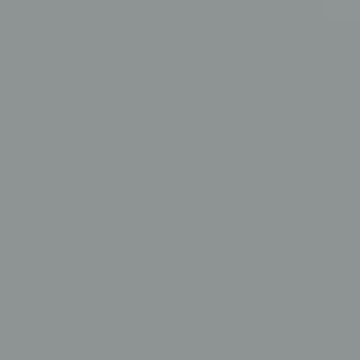 Carbonite - NP N 3001 T