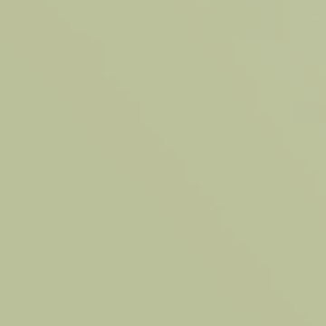 Green Montage - NP BGG 1752 T