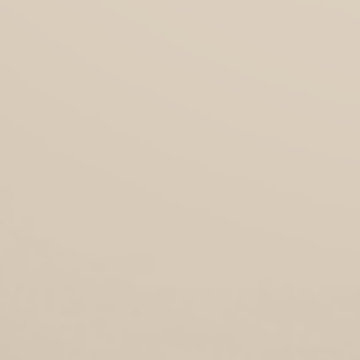 Latte - NP N 3211 P