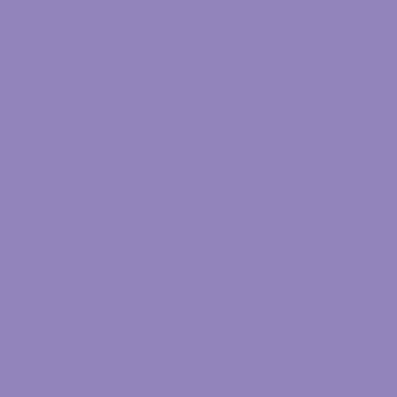 Plum Burst - NP PB 2941 D