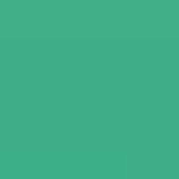 Wizard Green - NP BGG 2676 D