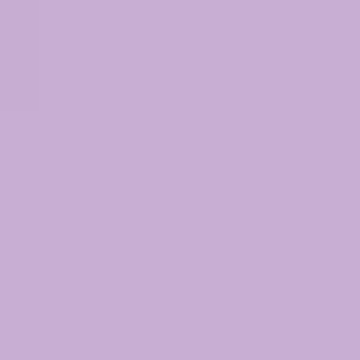 Young Violet - NP PB 2961 P