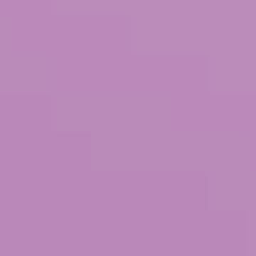 Adolescence - NP PB 1392 T