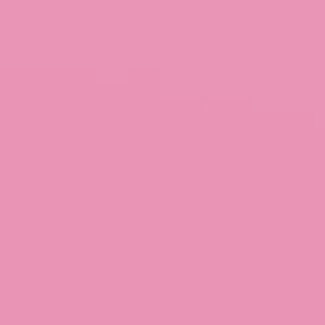 Alba Rose - NP R 1297 T
