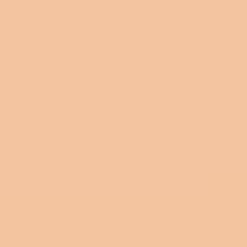 Apricot Cake - NP YO 2431 P