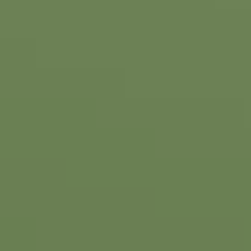 Army Green - NP AC 2118 A