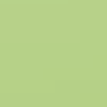 Arrow Frog - NP BGG 2621 T