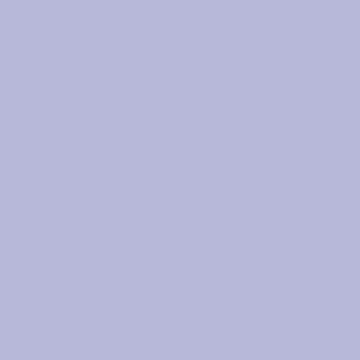 Artist Loft - NP PB 2929 P