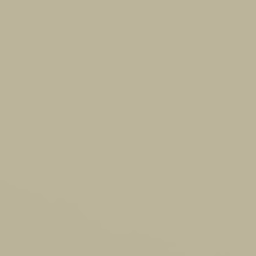 Ash Grey – 9024