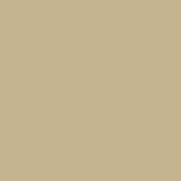 Ash Grey - 9093