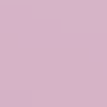 Aster Petal - NP R 1333 P
