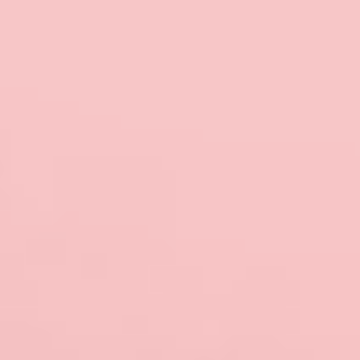 Astilbe Venus - NP R 1277 P