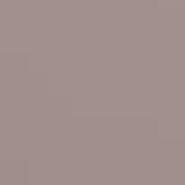 Autumn Ashes - NP N 1906 T