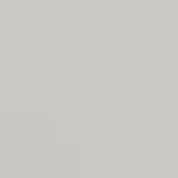 Badge of Honour - NP N 3018 P