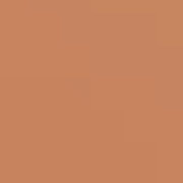 Baked Clay - NP N 3154 D