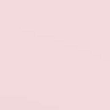 Ballerina's Twirl - NP R 2314 P