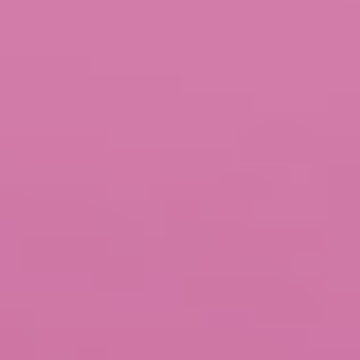 Ballet Pink - NP R 1303 D