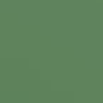 Bamboo Leaf - NP BGG 1792 A
