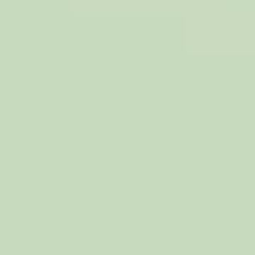 Beaded Green - NP BGG 2632 P