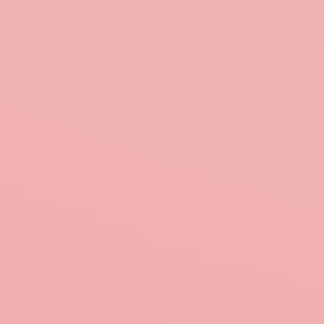 Beautiful Rose - NP R 1360 T