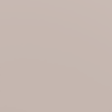 Beige Gray – NP N 1914 P