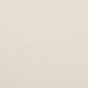Beige Page - NP N 3220 P