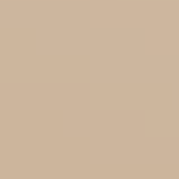 Biscuit - BS 06C33