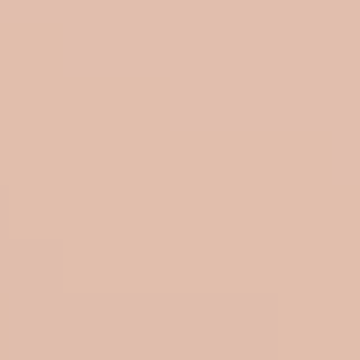 Bleached Leather - NP R 1382 P