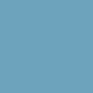 Blue Button - NP PB 1560 T