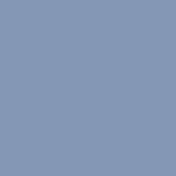 Blueberry Bush - NP PB 2914 T