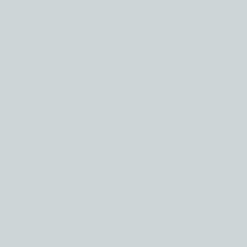Bluish Gray - NP N 3078 P