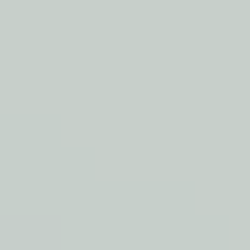 Bluish Grey - BS 18B17