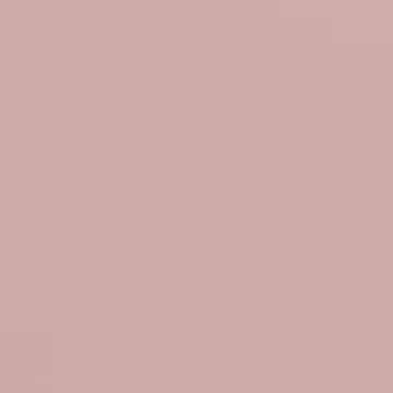 Brick Dye - NP N 3366 P