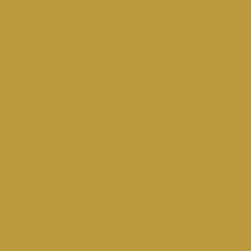 Bronze Trophy - NP AC 2125 A