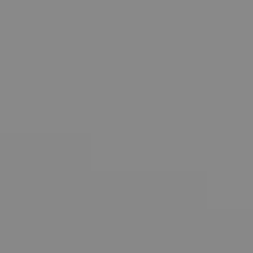 Brooding Gray - NP N 3007 D