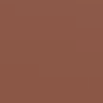 Brown Bailey - NP AC 2141 A