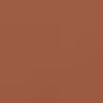 Brown Tresses - NP N 3157 A