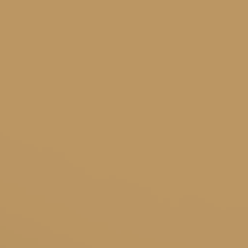 Browned Garlic - NP N 3254 D
