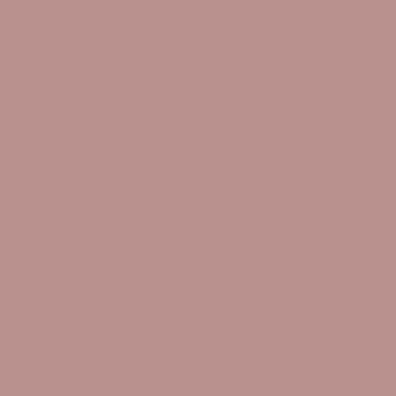 Burnt Anistar - NP N 3373 P