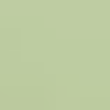 Calm Green - 9037
