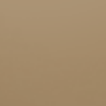 Camel Fur - NP N 3246 D