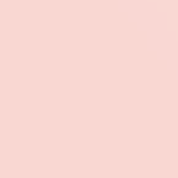 Candilicious - NP R 2354 P