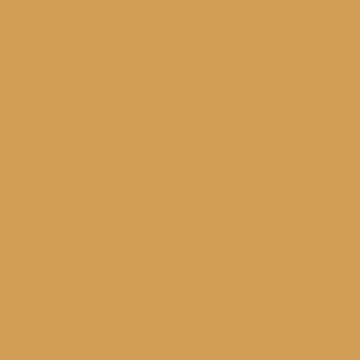 Capitol's Gold - NP YO 1169 D