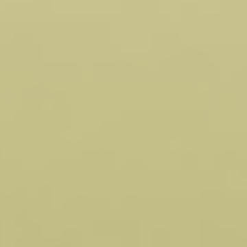 Celery Seed - NP BGG 1731 T