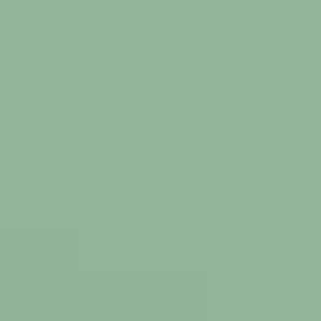 Chameleon - NP BGG 1798 T